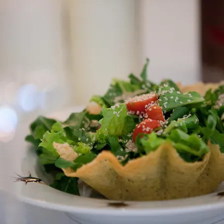 Litohoro Olympus & 4* Plaka Litochorou